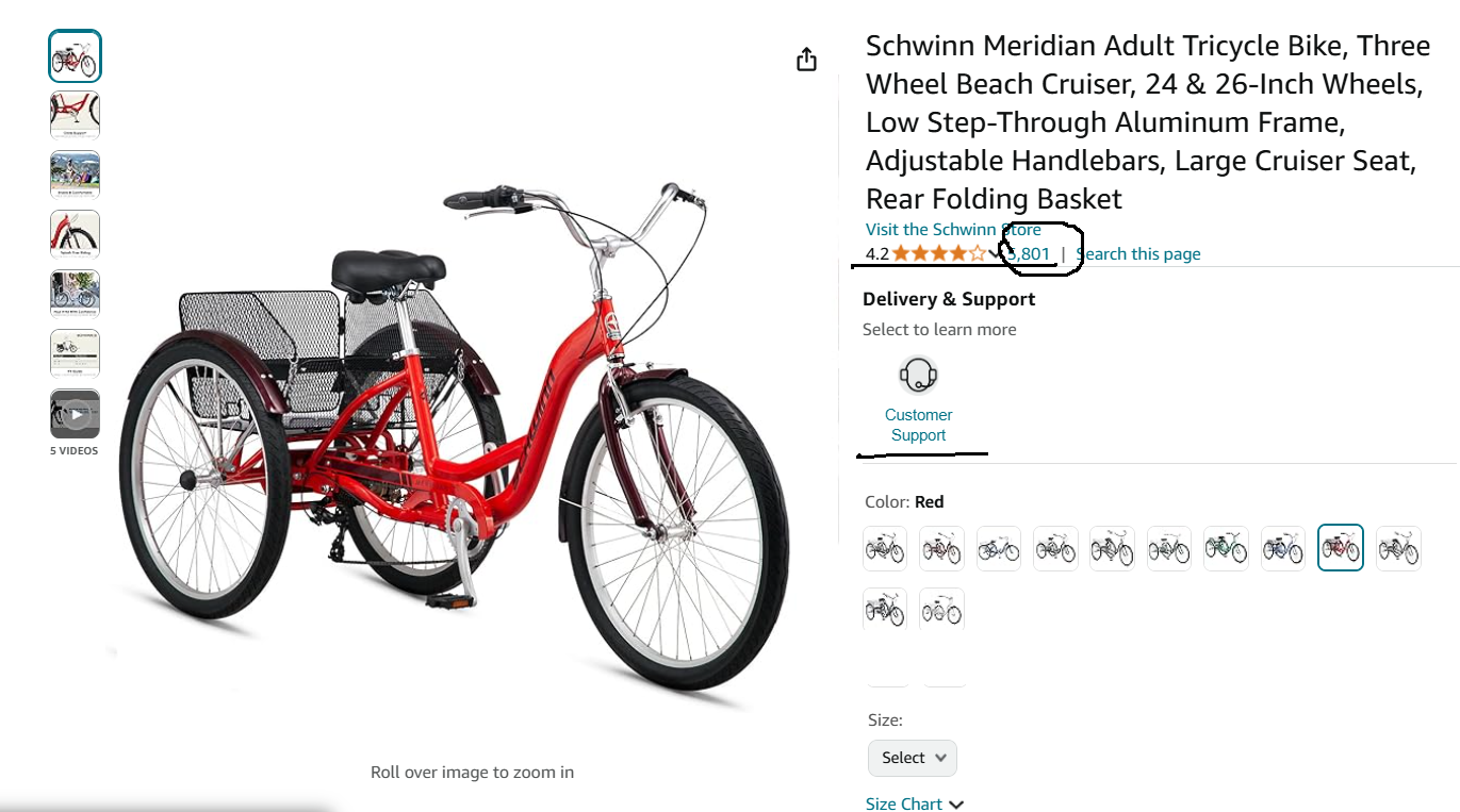 Schwinn Meridian Electric Trike