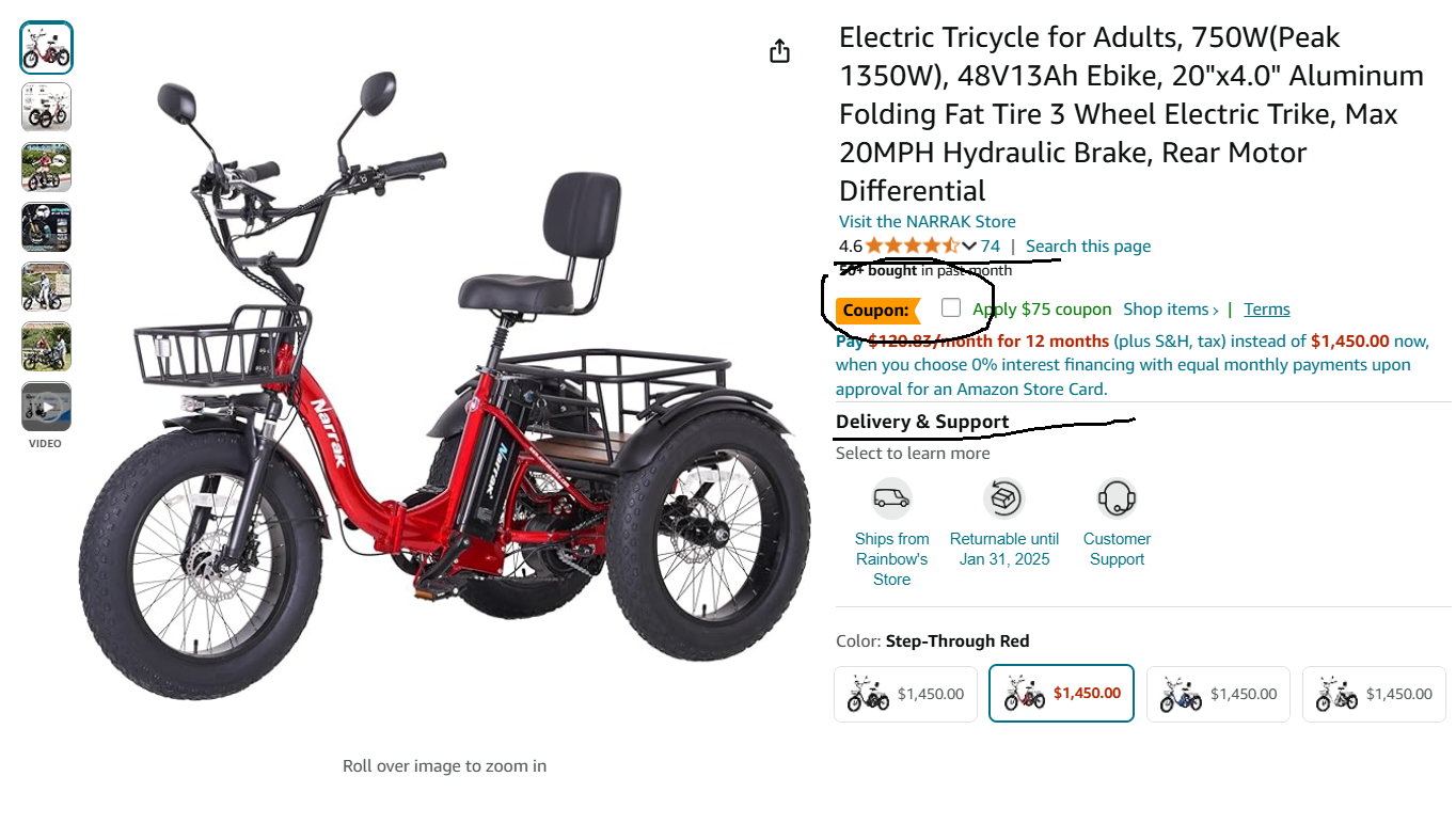 ECOTRIC 20" Electric Tricycle